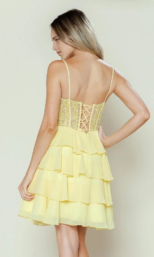 Elegant Red Lace A-Line Classic-Neck Sleeveless Classic-Back Floor-Length Homecoming Dress