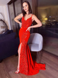 Sheath/Column V-neck Sleeveless Sweep/Brush Train Dresses