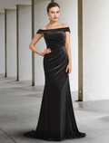 Mother of the Bride Dress Elegant Off Shoulder Sleeveless with Draping