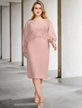 Plus Size Curve Mother of the Bride Dresses Elegant ress Formal Long Sleeve with Appliques