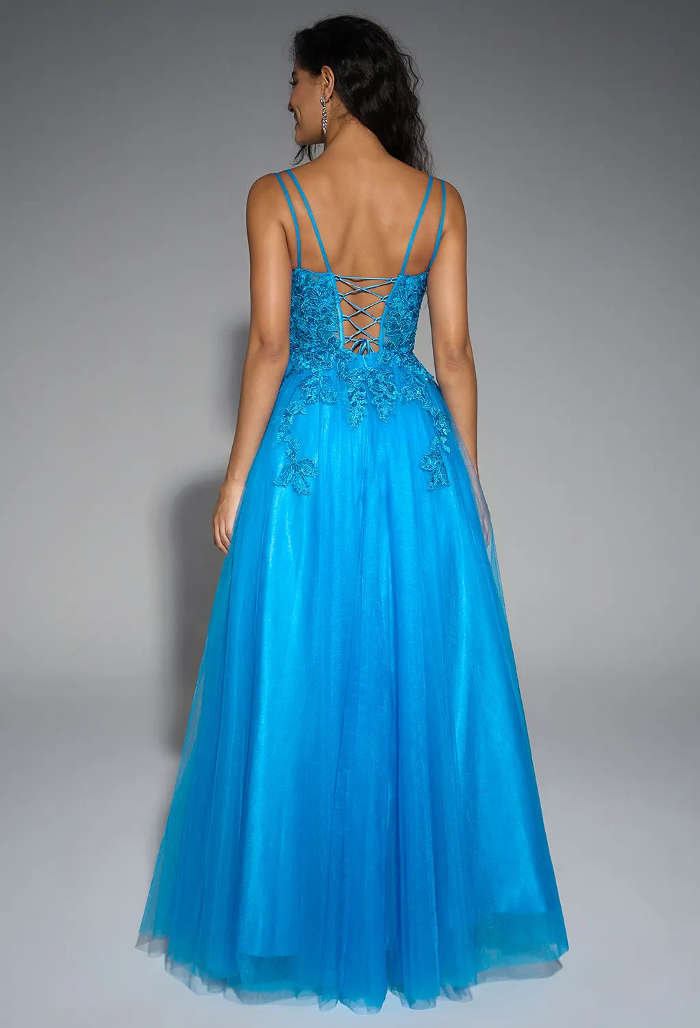 Timeless Special Occasion Sophisticated Graceful Elegant Tulle A-Line Sleeveless Long Prom Dress