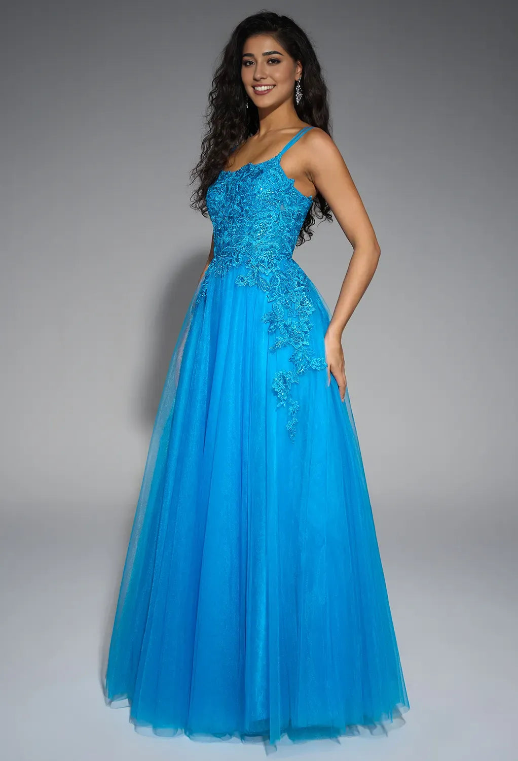 Timeless Special Occasion Sophisticated Graceful Elegant Tulle A-Line Sleeveless Long Prom Dress