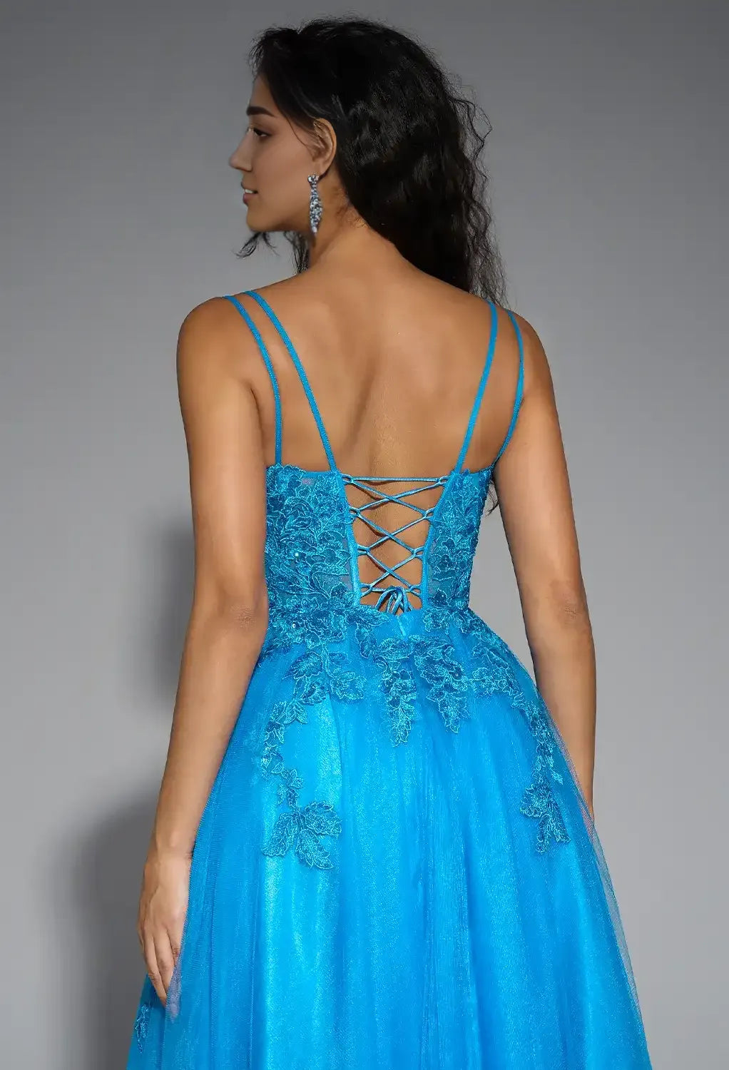 Timeless Special Occasion Sophisticated Graceful Elegant Tulle A-Line Sleeveless Long Prom Dress