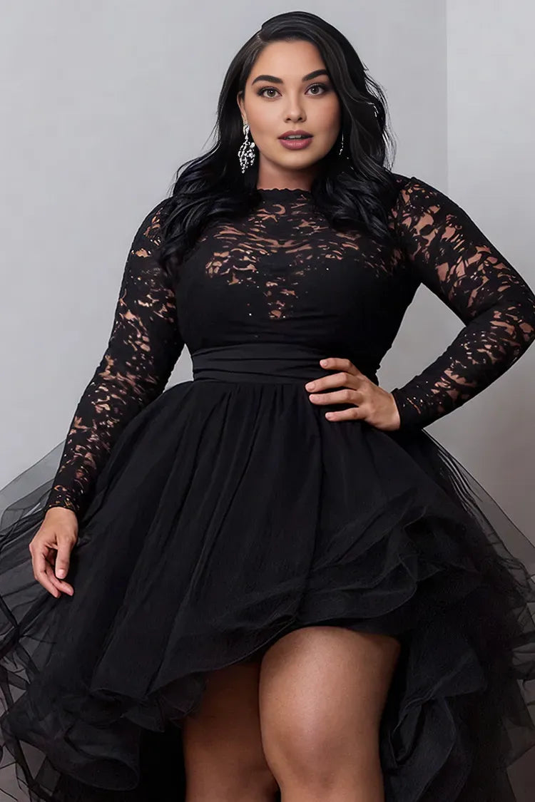 Beautiful Timeless Chic Elegant Black Tulle A-Line Long Sleeve Long Prom Dress