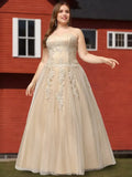 Ball-Gown Sweetheart Neckline Sleeveless Corset Back Plus-Size Floor-Length Prom Dresses with Appliques Beads