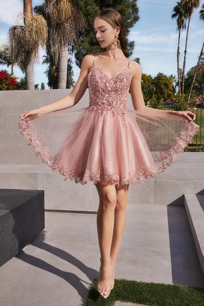 Elegant Light-Blue Applique A-Line Classic-Neck Sleeveless Classic-Back Floor-Length Homecoming Dress