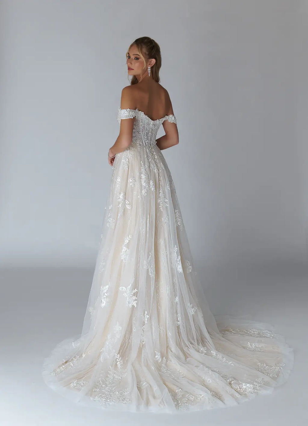 Off -Shoulder Wedding Dress Sheer Skirt Intricate Embroidery, Sweetheart Neckline Fit and Flare Silhouette for Romantic Weddings
