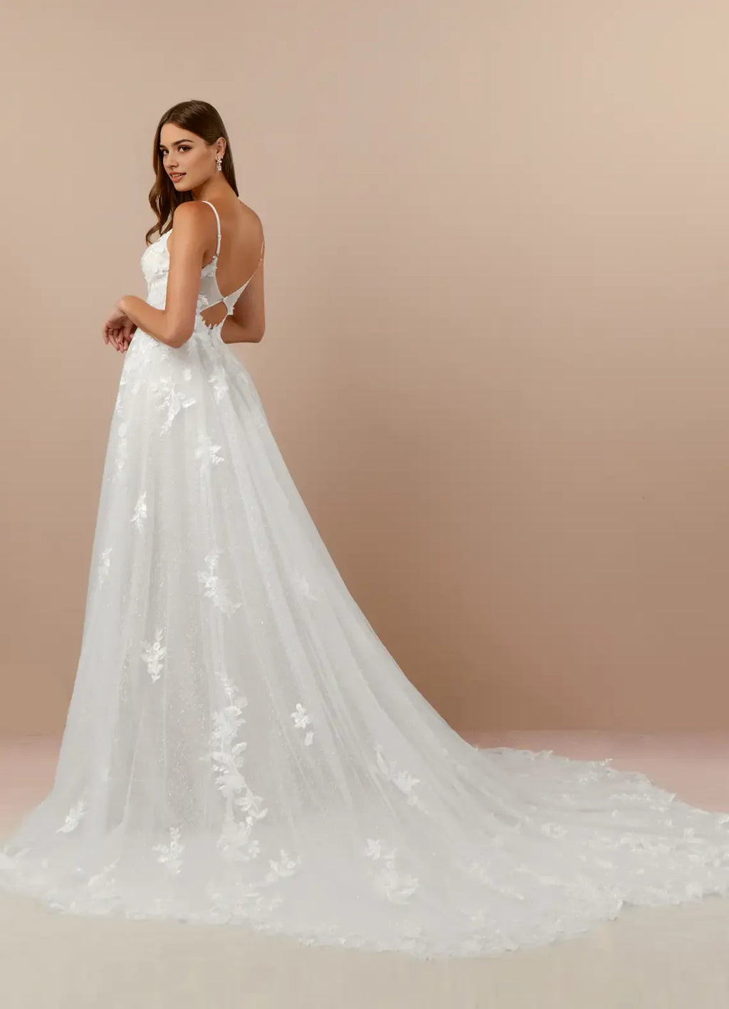 Spaghetti Strap A-Line V-Neck Wedding Dress Sheer Fabric Floral Embroidery Plunging Ball Gown Silhouette Train