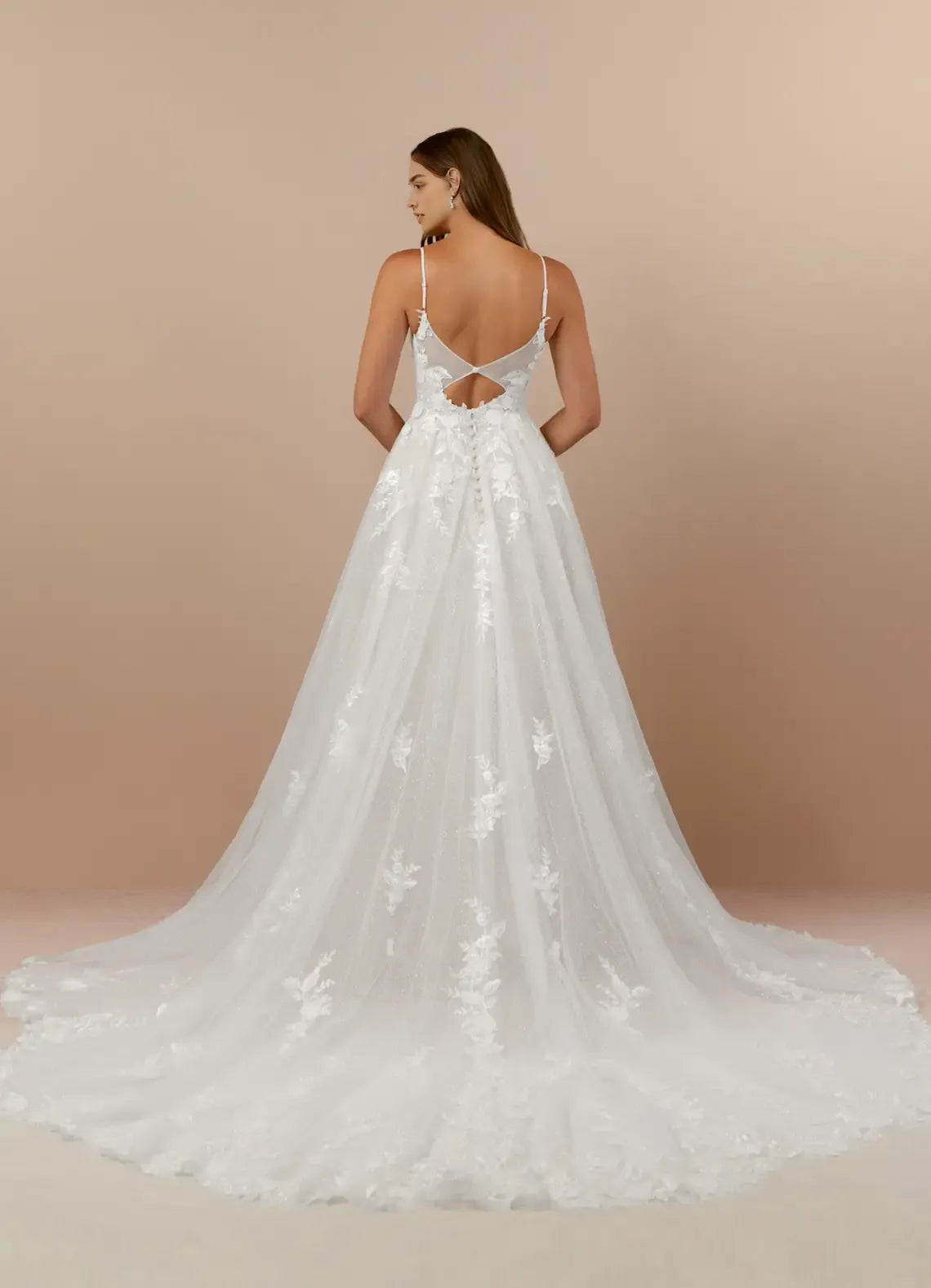 Spaghetti Strap A-Line V-Neck Wedding Dress Sheer Fabric Floral Embroidery Plunging Ball Gown Silhouette Train