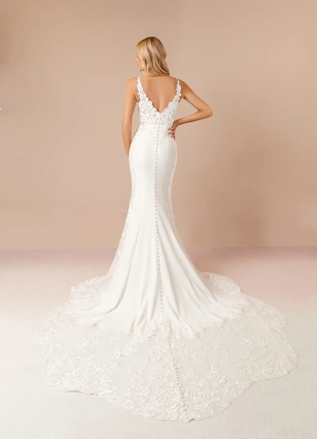 Mermaid Sequins Wedding Dresses Plunging V - Neck Figure Hugging Sheer Design Intricate Embroidery Mermaid Train for bride