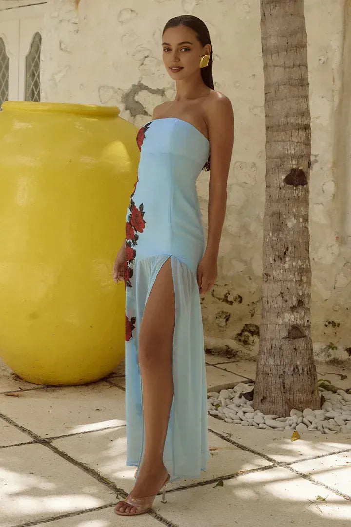 Special Occasion Sophisticated Graceful Elegant Light Blue A-Line Strapless Sleeveless Floor-Length Prom Dress