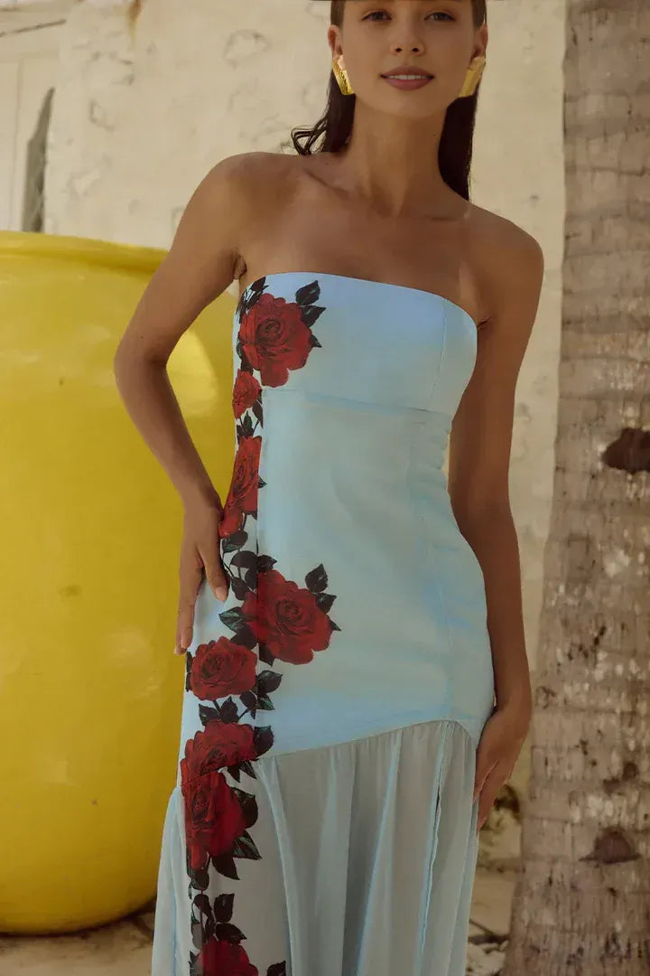 Special Occasion Sophisticated Graceful Elegant Light Blue A-Line Strapless Sleeveless Floor-Length Prom Dress
