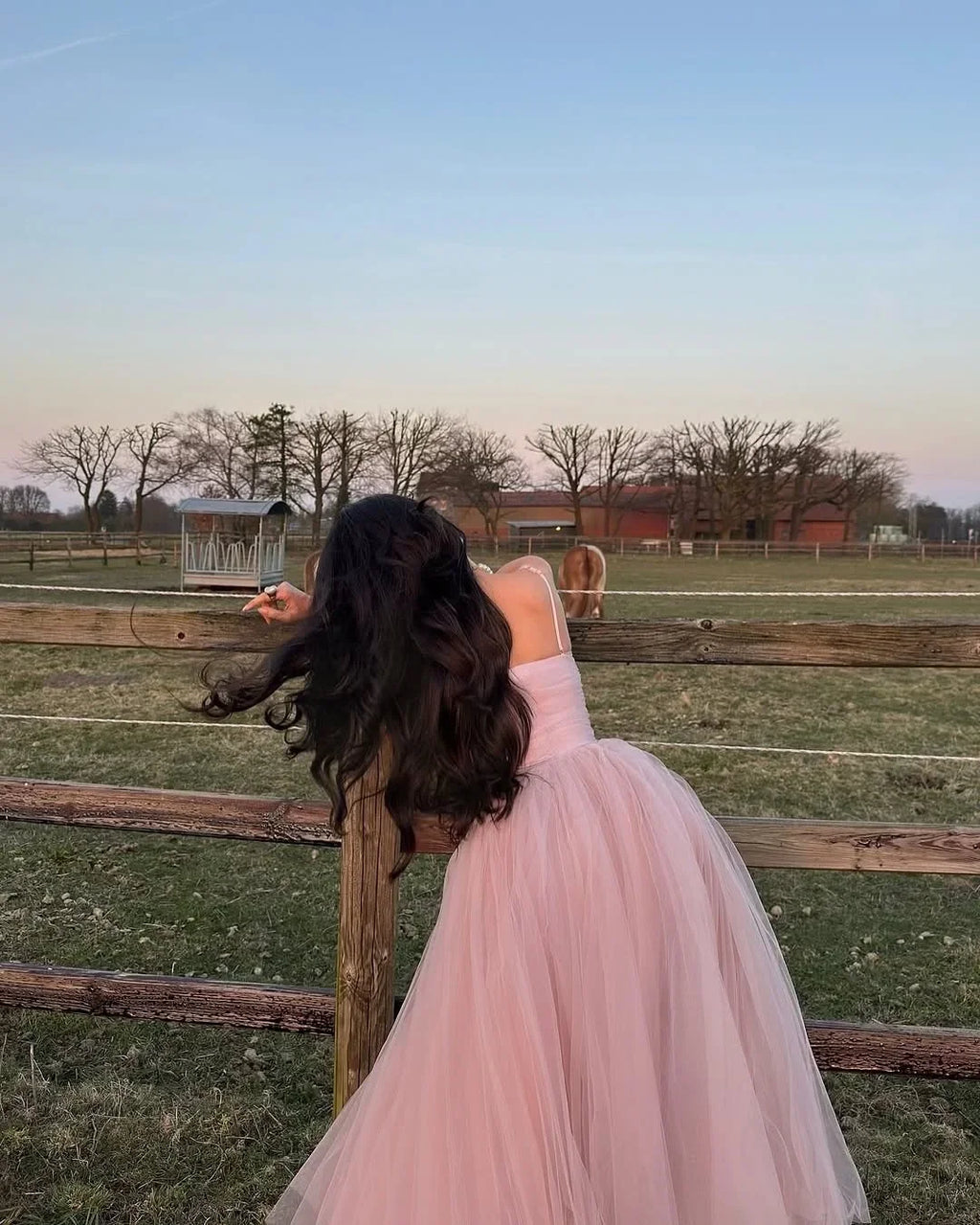 Blush Pink Romantic Spaghetti Strap Sleeveless Blush Prom Dress