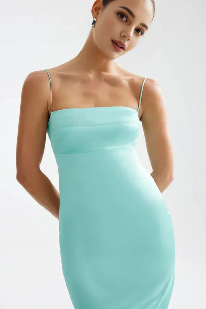 Graceful Stylish Refined Beautiful Timeless Special Occasion Elegant Sheath Sleeveless Evening Dress