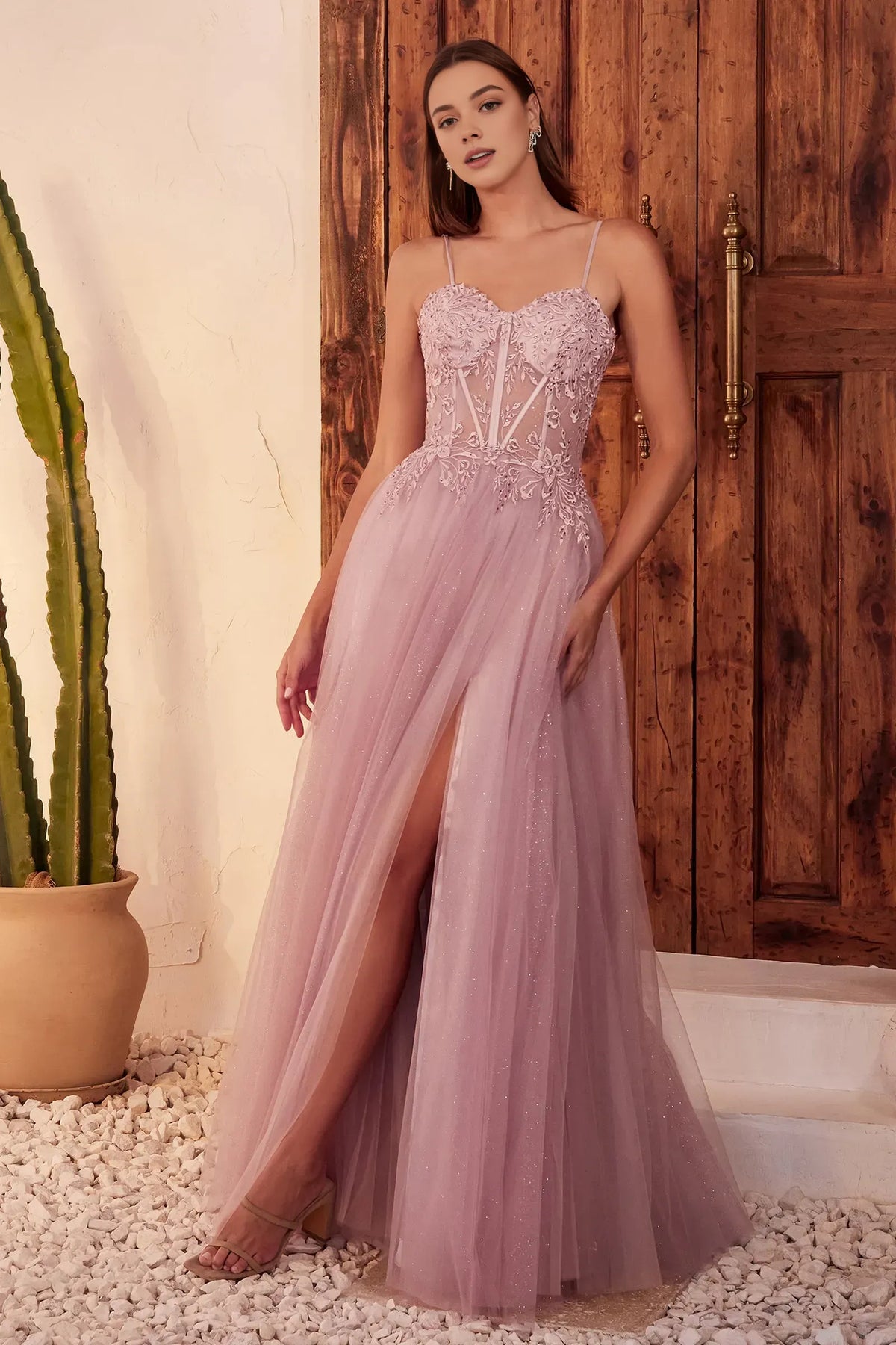 Timeless Special Occasion Sophisticated Elegant Tulle A-Line Spaghetti Strap Floor-Length Prom Dress