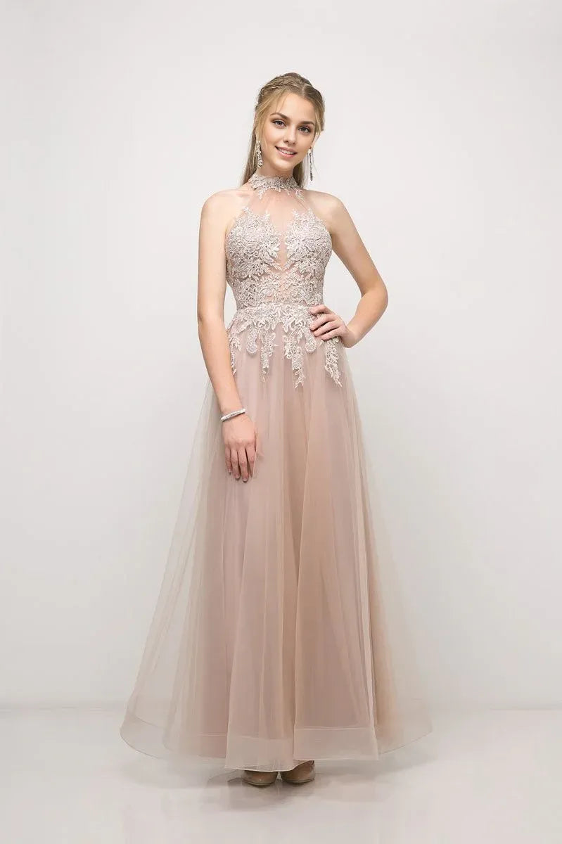 Special Occasion Sophisticated Graceful Stylish Refined Elegant Tulle Sleeveless Long Prom Dress