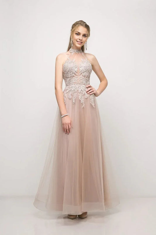 Special Occasion Sophisticated Graceful Stylish Refined Elegant Tulle Sleeveless Long Prom Dress