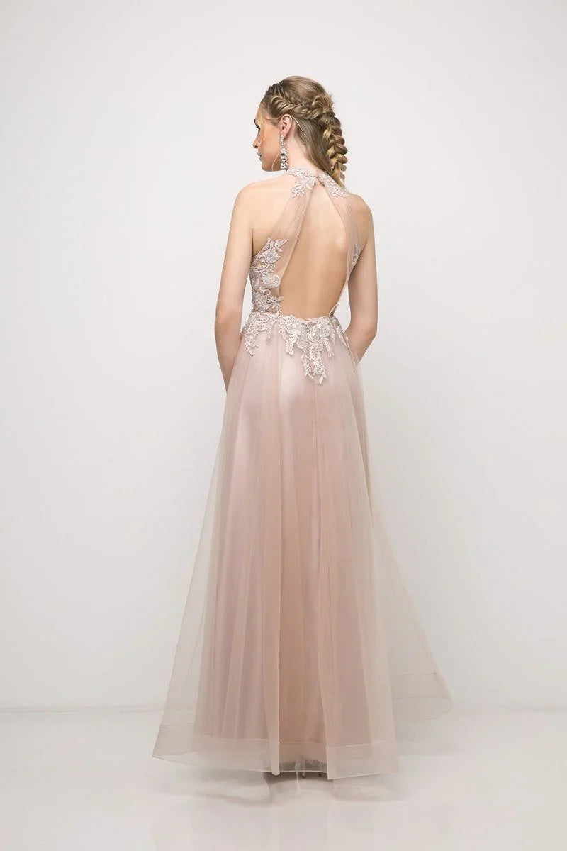 Special Occasion Sophisticated Graceful Stylish Refined Elegant Tulle Sleeveless Long Prom Dress