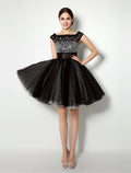 Black Little Dress Dress Party Short Mini Sleeveless Sash Pleats