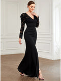 Evening Gown Vintage Dress Formal Floor Length Long Sleeve V Neck
