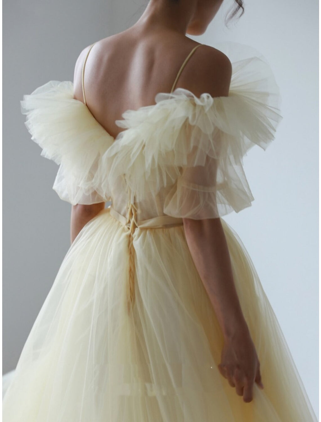 Evening Gown Elegant Dress Formal Sweep / Brush Train Short Sleeve V Neck with Pleats Ruffles
