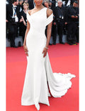 Sheath Party Dress Celebrity Style Elegant Engagement Formal Evening Dress One Shoulder Short Sleeve Court Train with Ruched