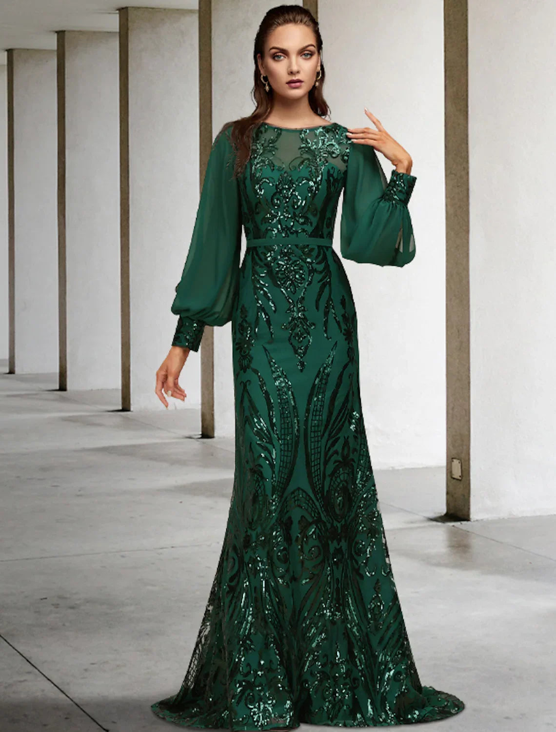 Mother of the Bride Dress Wedding Elegant Long Sleeve with Appliques