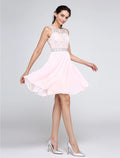 Pink Special Occasion Dresses Party Dress Homecoming Short / Mini Sleeveless Illusion Neck Dress V Back Low Back with Crystals