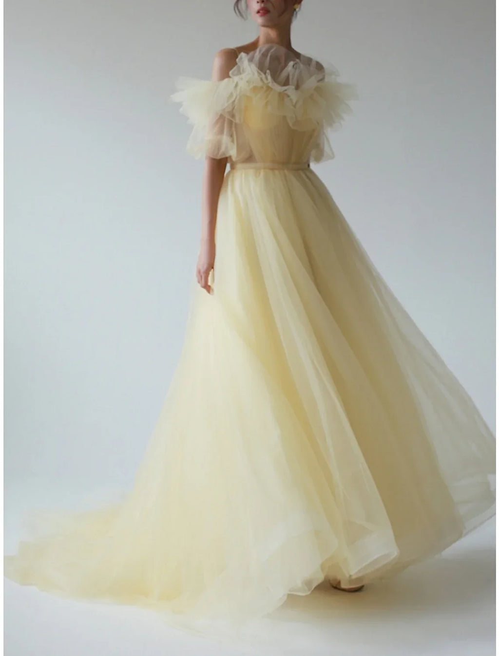 Evening Gown Elegant Dress Formal Sweep / Brush Train Short Sleeve V Neck with Pleats Ruffles
