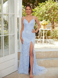 Sheath/Column Applique V-neck Sleeveless Sweep/Brush Train Dresses