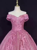 Ball Gown Quinceanera Dresses Princess Dress Performance Floor Length Sleeveless Off Shoulder with Appliques